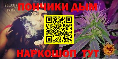крисы Будённовск