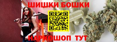 крисы Будённовск
