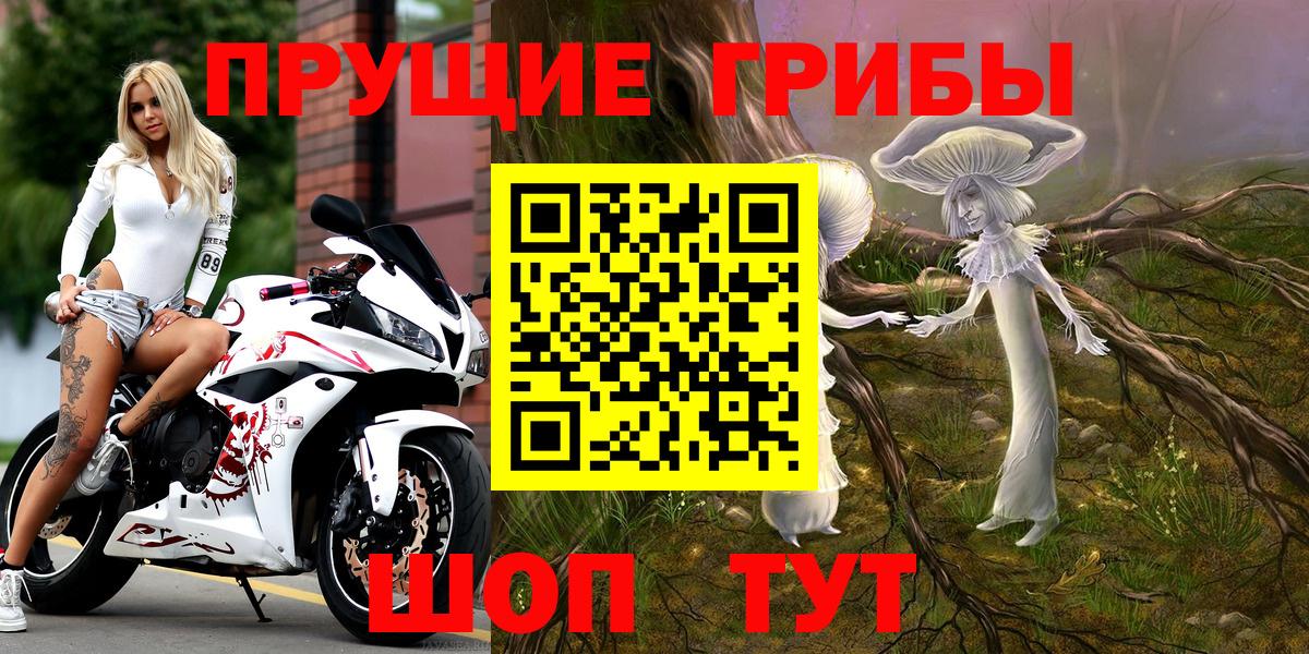 Старая Русса  Галлюциногенные грибы мицелий  Галлюциногенные грибы мицелий  Вход с VPN 